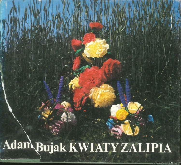 Kwiaty Zalipia. ADAM BUJAK
