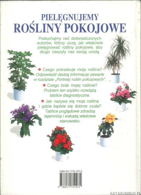 Pielęgnujemy rośliny pokojowe. PRACA ZBIOROWA