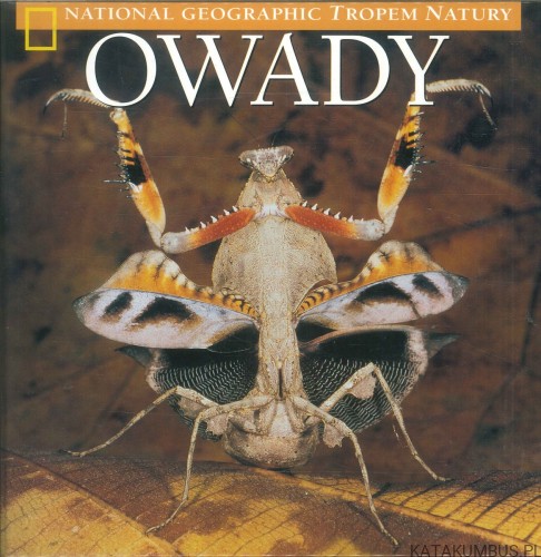 Owady. PRACA ZBIOROWA