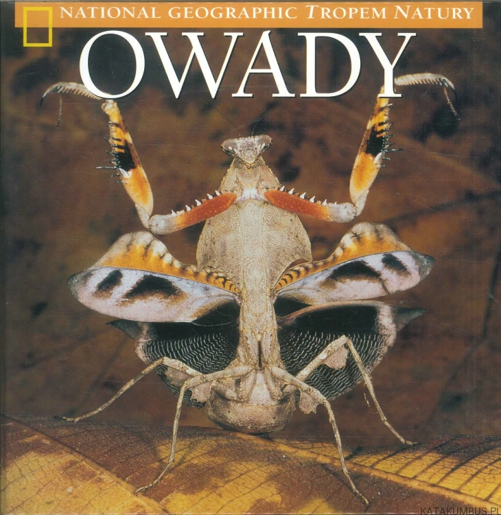 Owady. PRACA ZBIOROWA