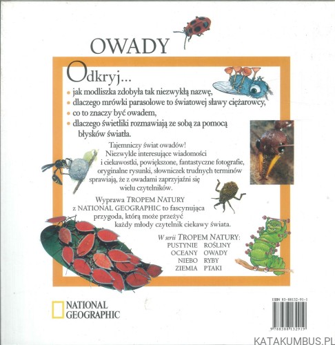 Owady. PRACA ZBIOROWA