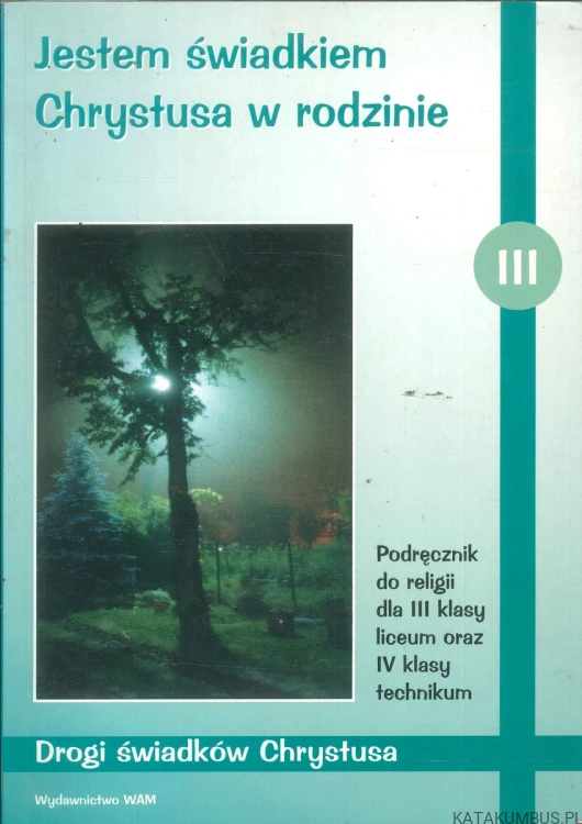 Jestem świadkiem Chrystusa w rodzinie. PRACA ZBIOROWA