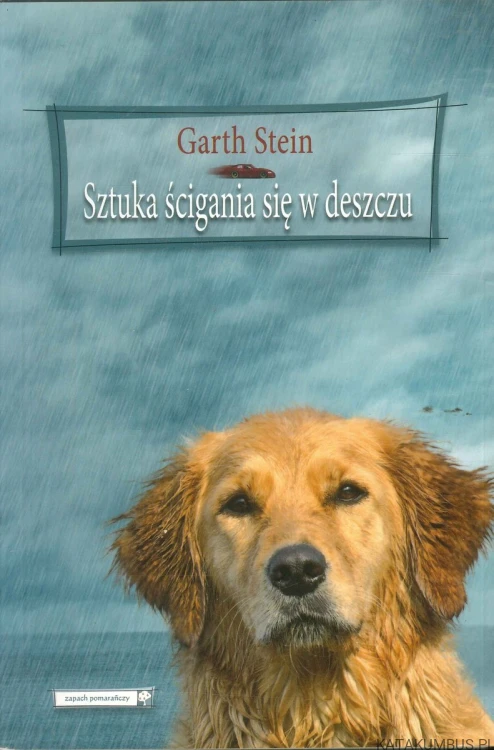 Sztuka ścigania się w deszczu. GARTH STEIN