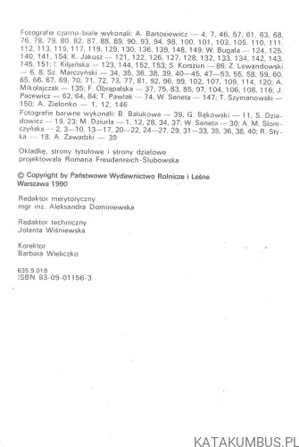 Kwiaty i krzewy ozdobne w ogrodku. I. KILJAŃSKA