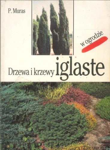 Drzewa i krzewy iglaste w ogrodzie. MURAS P