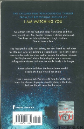 The friend. TERESA DRISCOLL