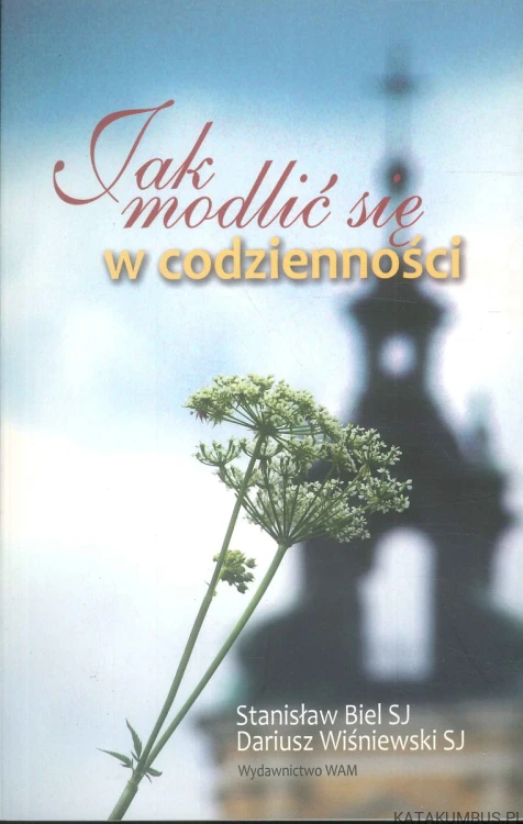 Jak modlić się w codzienności. STANISŁAW BIEL, DARIUSZ WIŚNIEWSKI