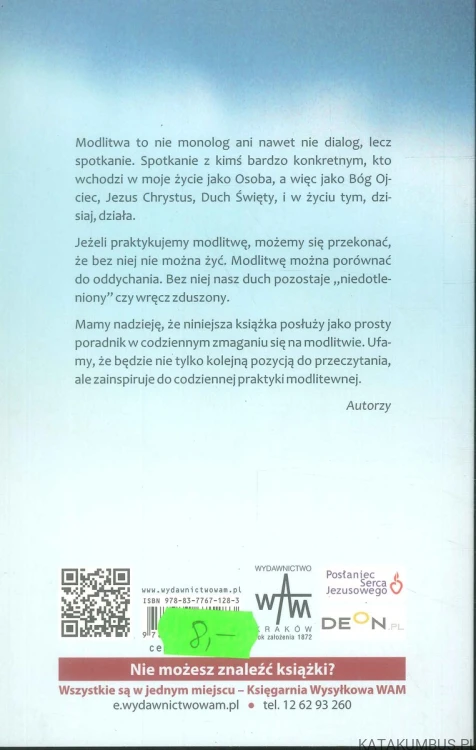 Jak modlić się w codzienności. STANISŁAW BIEL, DARIUSZ WIŚNIEWSKI