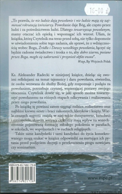 Towarzyszenie powołanym. KS. ALEKSANDER RADECKI