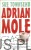 Adrian Mole: Czas cappuccino. SUE TOWNSEND
