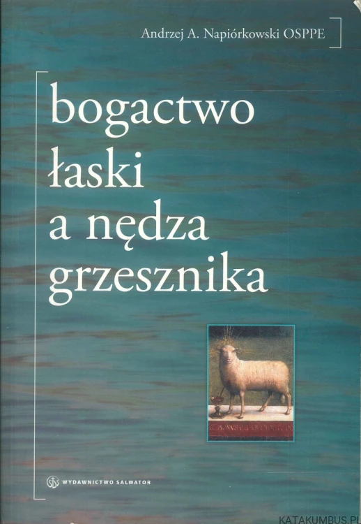 Bogactwo łaski a nędza grzesznika. ANDRZEJ A. NAPIÓRKOWSKI