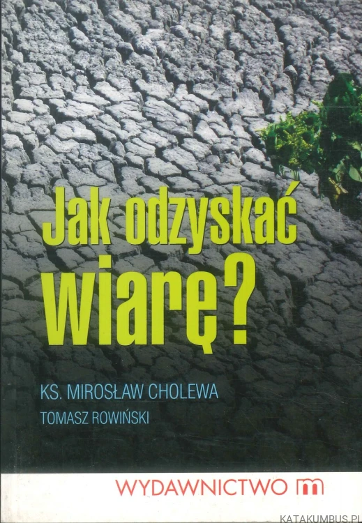 Jak odzyskać wiarę?. KS. MIROSŁAW CHOLEWA, TOMASZ ROWIŃSKI