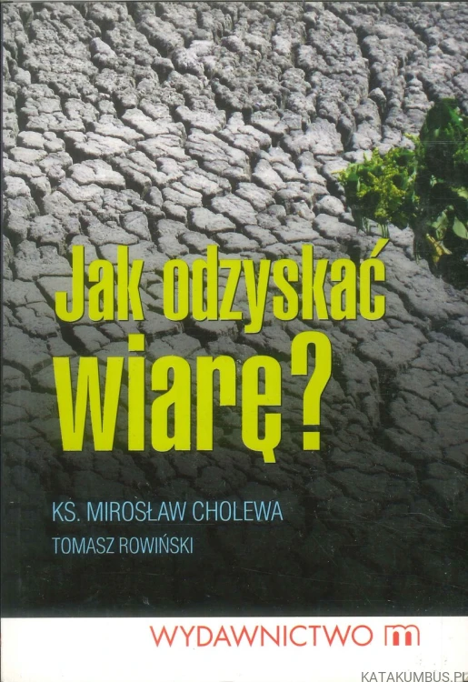 Jak odzyskać wiarę?. KS. MIROSŁAW CHOLEWA, TOMASZ ROWIŃSKI