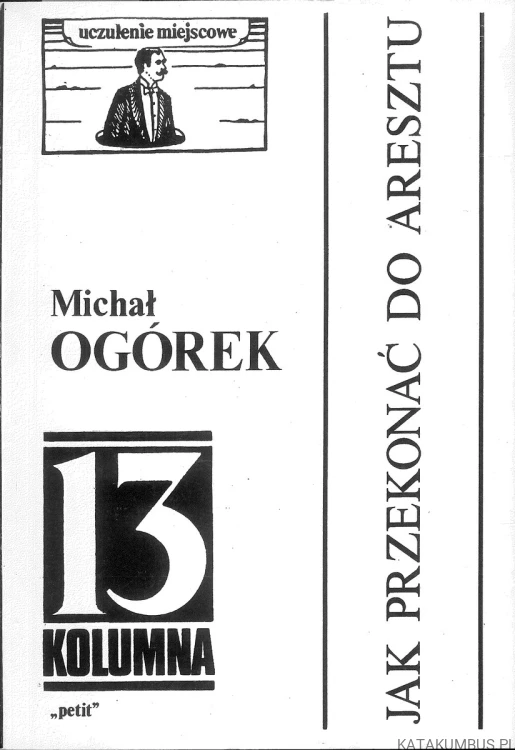 Jak przekonać do aresztu. MICHAŁ OGÓREK
