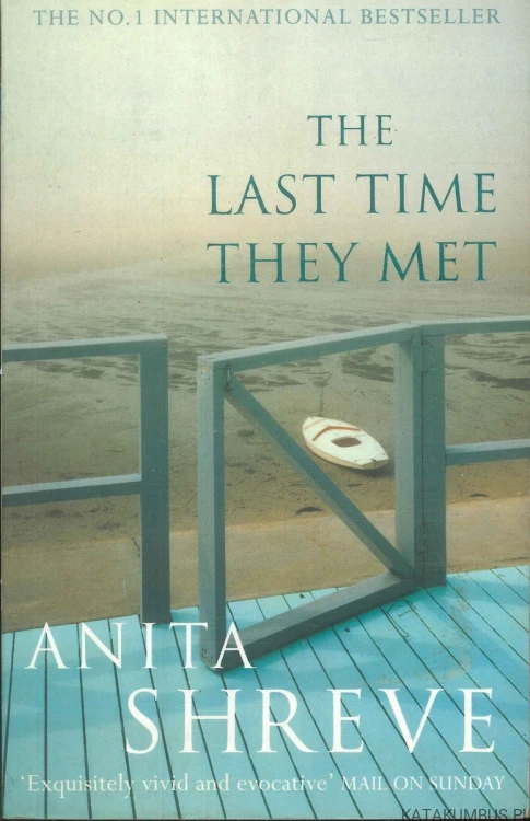 The last time they met (j.ang). ANITA SHREVE