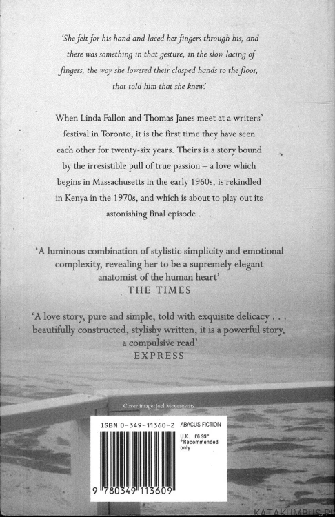 The last time they met (j.ang). ANITA SHREVE