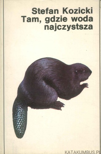 Tam, gdzie woda najczystsza. STEFAN KOZICKI