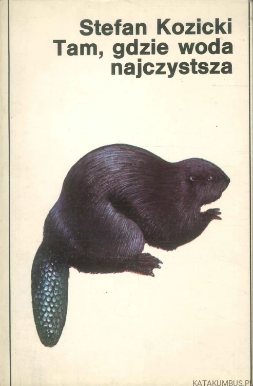 Tam, gdzie woda najczystsza. STEFAN KOZICKI