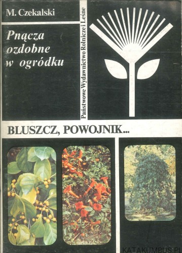 Pnącza ozdobne w ogródku. M. CZEKALSKI