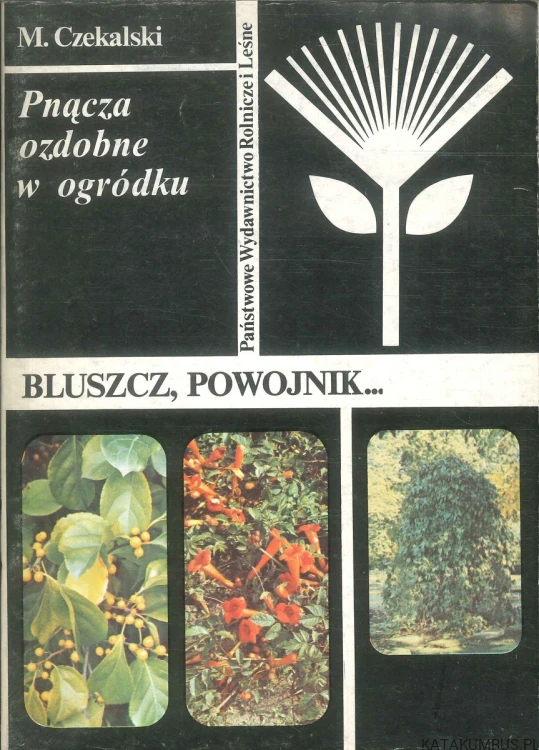 Pnącza ozdobne w ogródku. M. CZEKALSKI