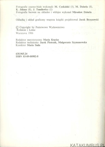 Pnącza ozdobne w ogródku. M. CZEKALSKI