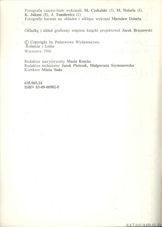 Pnącza ozdobne w ogródku. M. CZEKALSKI