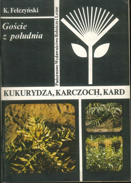 Goście z południa. Kukurydza, karczoch, kard. K. FELCZYŃSKI