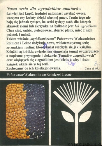 Polecamy do uprawy warzywa nowości. Brokuł, roszponka. H. FAJKOWSKA