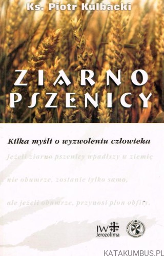 Ziarno pszenicy. ks. PIOTR KULBACKI