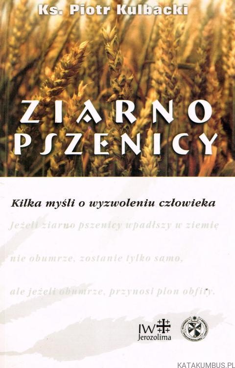 Ziarno pszenicy. ks. PIOTR KULBACKI