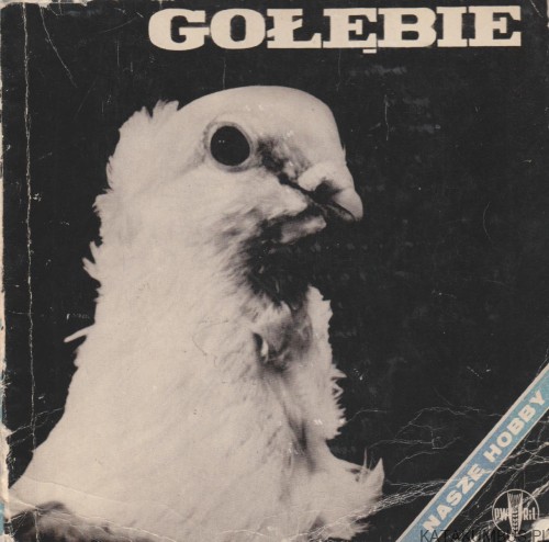 Gołębie. JANUSZ KELLER