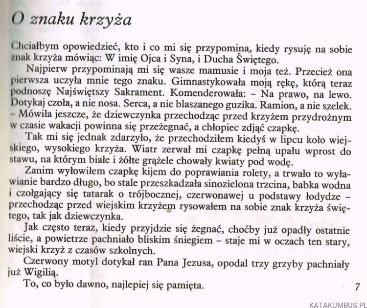 Patyki i patyczki / ks. Jan Twardowski