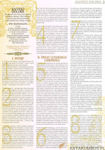 Wielka Encyklopedia Jana Pawła II tom 43 Listy Apostolskie