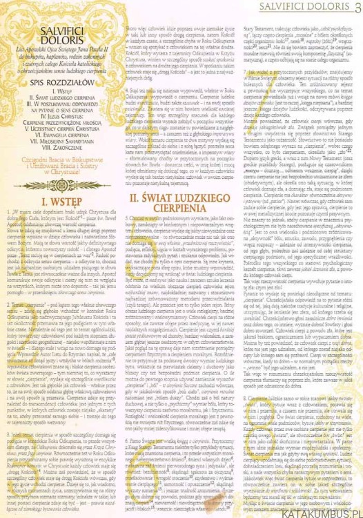 Wielka Encyklopedia Jana Pawła II tom 43 Listy Apostolskie