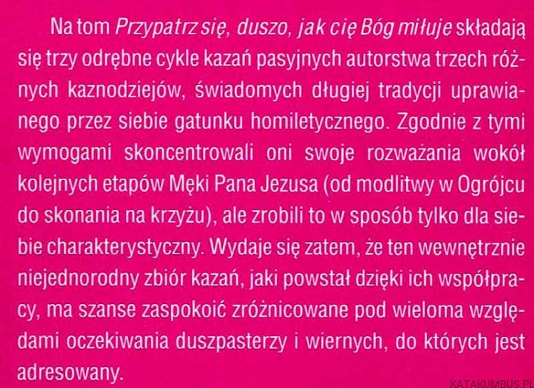 Przypatrz się, duszo, jak cię Bóg miłuje. Kazania pasyjne. Rok C. Ks. MICHAŁ DRÓŻDŻ
