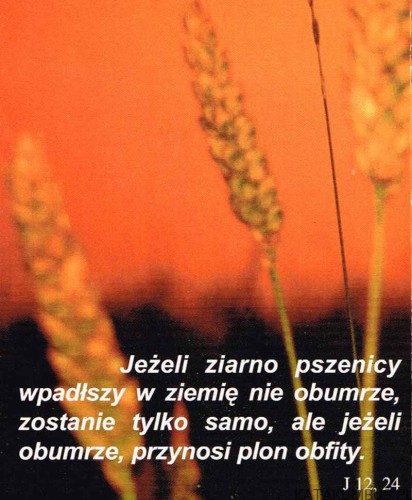 Powołani do nadziei. Ks. WINFRIED WERMTER