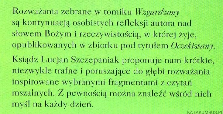 Wzgardzony. Ks. LUCJAN SZCZEPANIAK SCJ