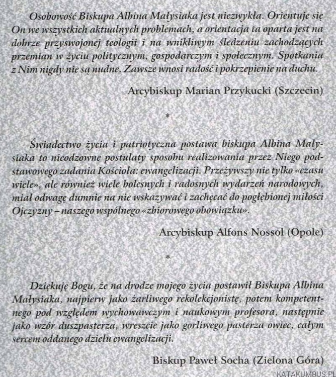 Z radością głoszę ewangelię