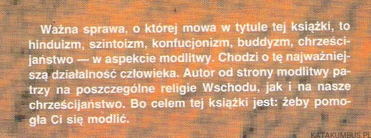 Pogadajmy o ważnej sprawie. ks. Mieczysław Maliński