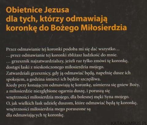 Ogień z nieba. ks. M. BERNYŚ, ks. M. DŁUTOWSKI