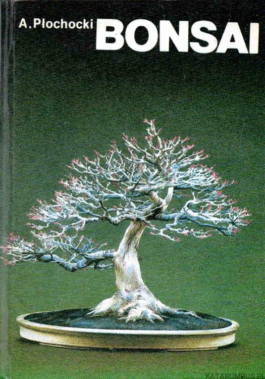 Bonsai - sztuka miniaturyzacji drzew i krzewów. ANDRZEJ PŁOCHOCKI