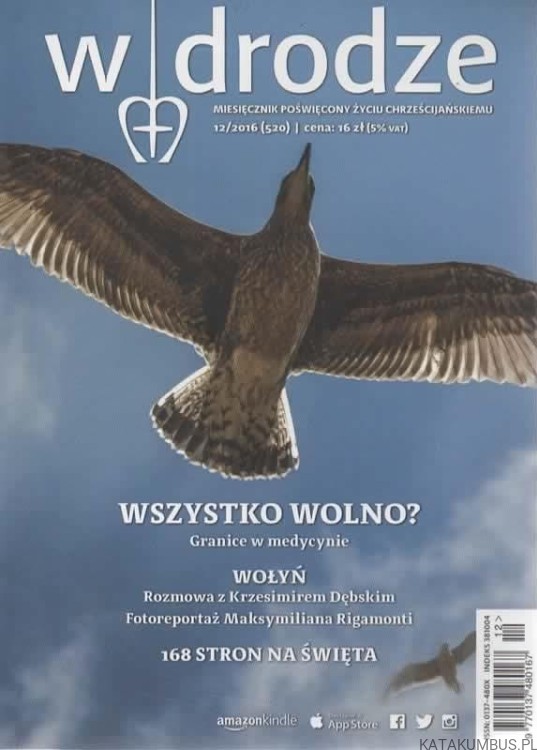 W drodze. Wszystko wolno? 12/2016 (520)
