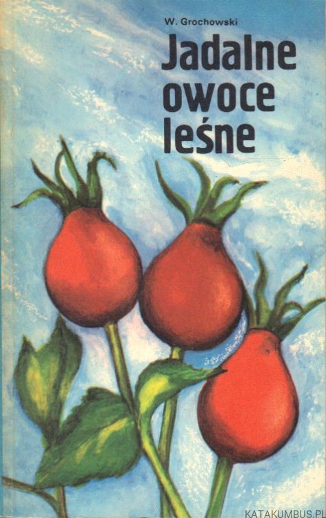 Jadalne owoce leśne. W. GROCHOWSKI