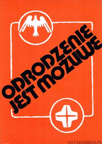 Odrodzenie jest możliwe / W nurcie zagadnień posoborowych. Tom 18