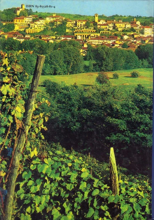 Ksiądz Bosko. PRACA ZBIOROWA