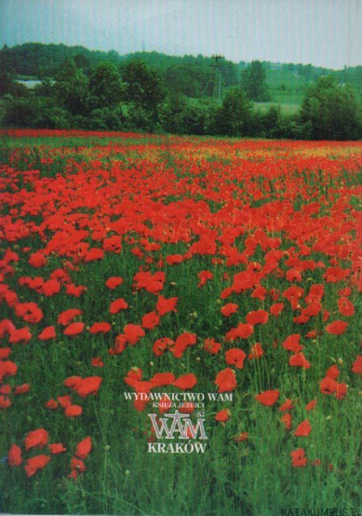 Jezus przyszedł w przypowieści. PETER WILD