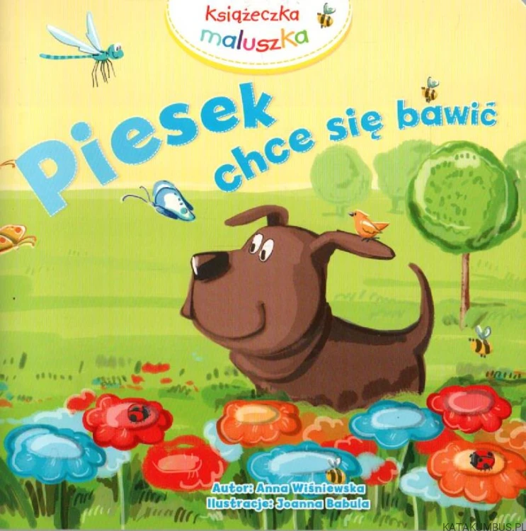 Piesek chce się bawić. ANNA WIŚNIEWSKA