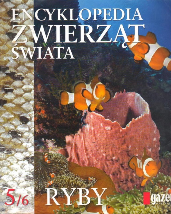 Encyklopedia zwierząt świata. Ryby 5/6. EWA TURYN