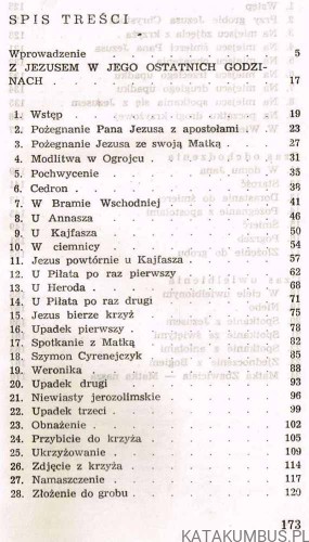 Nasze tajemnice bolesne i chwalebne. Ks. M. MALIŃSKI