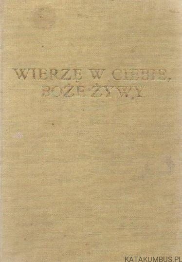 Wierzę w Ciebie Boże Żywy. Ks. WALDEMAR WOJDECKI